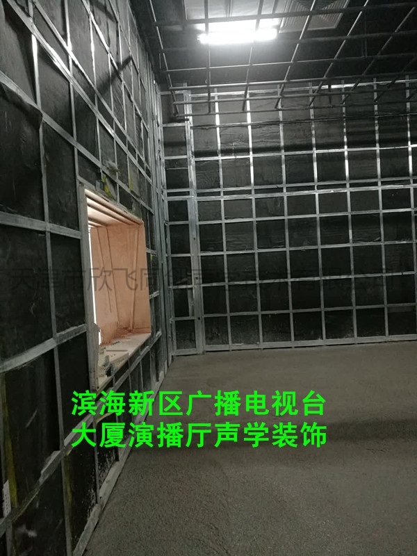 滨海广电噪音治理